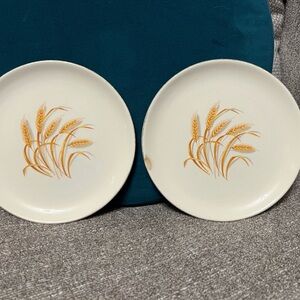 Elegant Wheat Design Dinner Plates